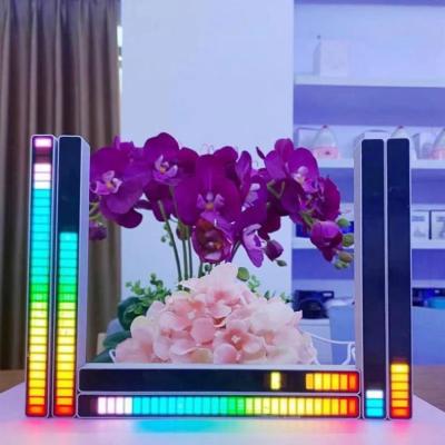 China Sound Control Atmosphere Light Led Music Sensor Control Sound Atmosphere Lamp RGB Car Decoration Rhythm Light for sale