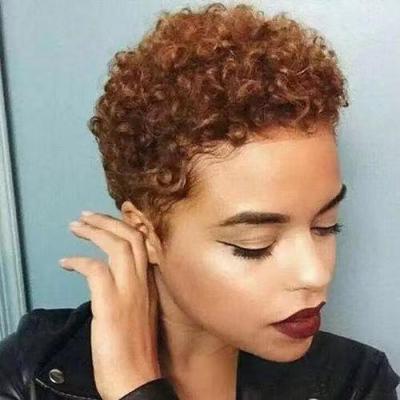 China 2021 Cuticle Aligned Coverage Curly Hair Machine Made Colored Hair Wig 150 Density Super Cheap African Short Lead Wig Tangle Free For Women for sale