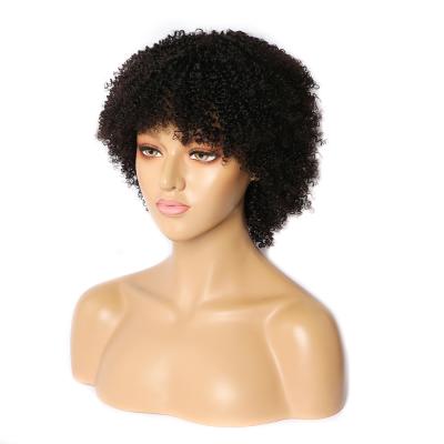 China Wholesale Jerry Curl Best Selling Mongolian Brazilian Curly Wig Petite Afro Fringe Curly Hair Wig For Black Women for sale