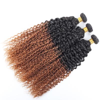 China Jerry Curl High Quality Double Drawn Cheap Brazilian Hair Bundles Ombre 1B 27 Colored Curly Hair Extensions Wave Bundles for sale