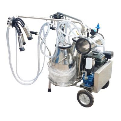 China food & Beverage Factory 304SUS Dual Bucket Gasoline Portable Cow Milking Machine For Canada for sale