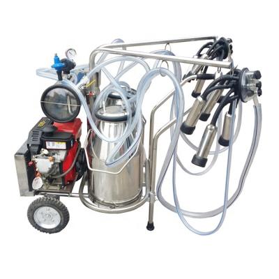 China food & Beverage factory double 25 liter bucket SUS304 diesel engine cow milking machine prices FACTORY PRICE! for sale