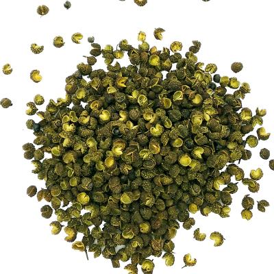 China Wholesale pure natural dried chinese bungeanum huajiao green zanthoxylum peppercorns for spice for sale