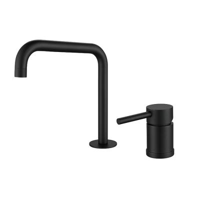 China Black Stainless Steel Premium Faucet Bathroom Basin Faucets Hotel Handle Single Handle Faucet Deck Mounted Cold And Hot Water Faucet for sale