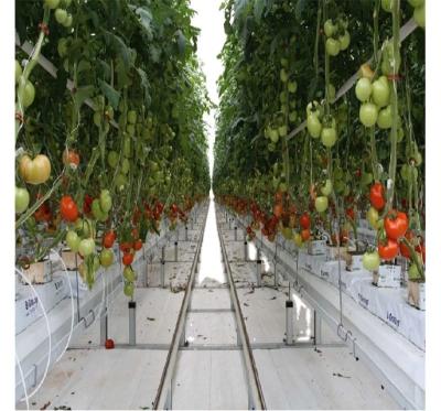 China Vegetable Fruits Flowers Planting Hot Sale Nft Pipe Hydroponics System Agricultural For Tomato/cucumber Soilless Culture for sale