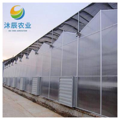 China Vegetable Fruits Flowers Planting 2023 New Low Cost Multi-span Polycarbonate Pc Sheet Covered Greenhouse For Sale for sale