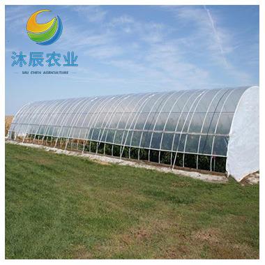 China Vegetable Fruits Flowers Planting China Supplier Multi-span Plastic Film Agriculture Greenhouses For Sale for sale