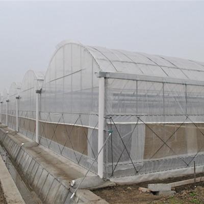 China Vegetable Fruits Flowers Planting Agricultural Multi Span Mushroom Greenhouse With Cover The Black Film for sale