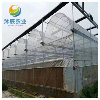 China Vegetable Fruits Flowers Planting Aquaponics Multi-span Agricultural Plastic Film Greenhouse With Hydroponic System For Strawberry for sale