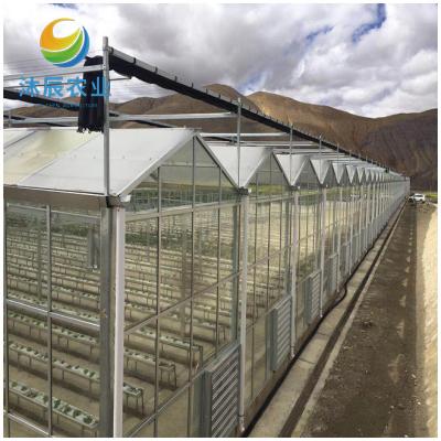 China Vegetable Fruits Flowers Planting multi-span hydroponic systems glass greenhouse structure for sale