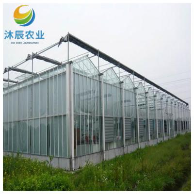 China Vegetable Fruits Flowers Planting multi-span cheap large glass farming system net for greenhouse for sale