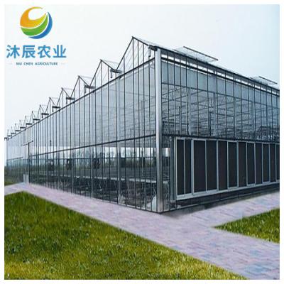 China Vegetable Fruits Flowers Planting multi-span agricultural glass greenhouse year round for sale for sale