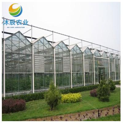 China Vegetable Fruits Flowers Planting low price multi-span glass aeroponics systems greenhouse for sale