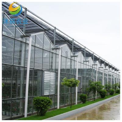 China Vegetable Fruits Flowers Planting multi-span hydroponic systems glass greenhouse structure for sale