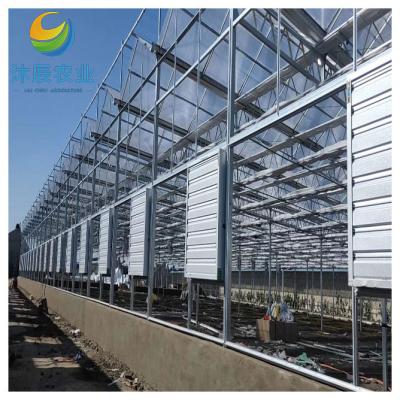 China Vegetable Fruits Flowers Planting heating systems glass multi-span greenhouse used for sale for sale