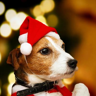 China Wholesale Classic Mini Pet Santa Decoration Plush Party Christmas Top Hats For Pets for sale