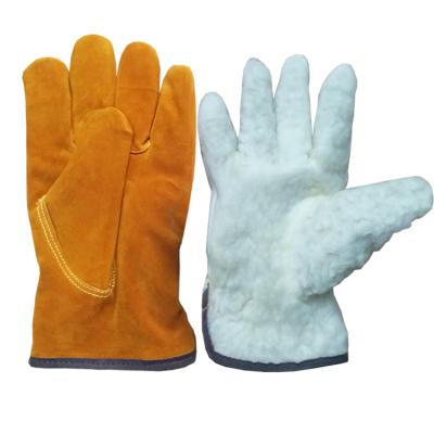 China Training Gloves Durable And Flexible Thorn Proof Leather Ski Work Heavy Duty Gloves for sale