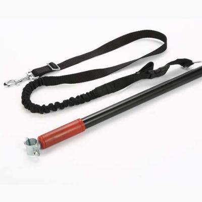 China Sustainable Hot Sale Outdoor Pet Bicycle Dog Leash With Big Discount for sale