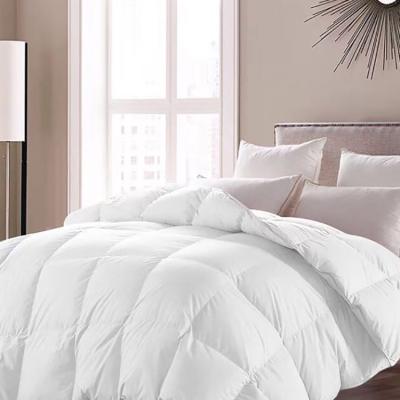 China Home Supplier Soft Touch Chinese Goose Down Inner Single Duvet Insert for sale