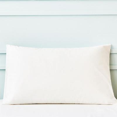 China Simple High Quality Popular White Cotton Linen Do Standard Pillow Case for sale