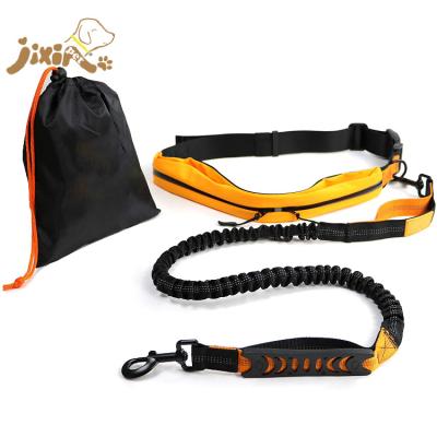 China Padded hands release elastic Bungee lead with handle for dogs up to a weight of 60 kg for sale