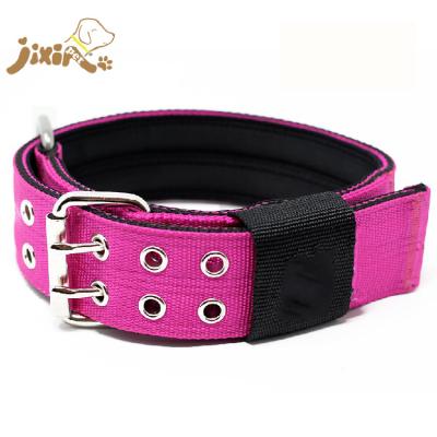 China Hot Selling Tactical Padded No Handle Sport Dog Collar For Large Dogs for sale