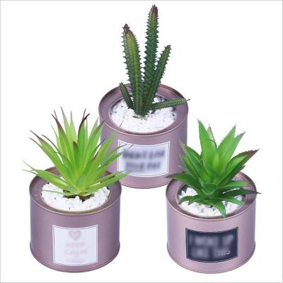 China Eco-Freindly Makers Supply Simulation Tin Bucket Potted Succulent Plants, Rose Gold Succulent, Creative Home Interior Te koop