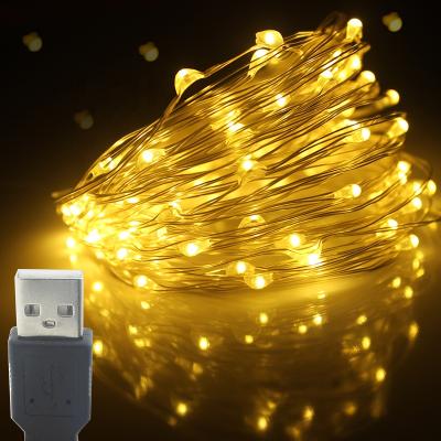 China Intdoor 10m 5M 2M LED String Lights Christmas Party Wedding Holiday Residential Fairy Garland Light String Decoration for sale