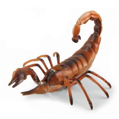 China Factory Supply Infrared Remote Control Child Scorpion Animal Toys With Music And Light for sale