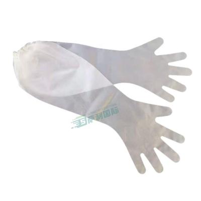 China New Arrival Cpe PE Kitchen Dishes Washing Household Long 60cm Cleaning Waterproof Elbow Lengths Gloves for sale