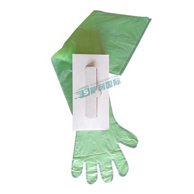 China 2023 New Design Vet Shoulder Contact Pe Elastic Band Long Gloves For Cow Free Size for sale