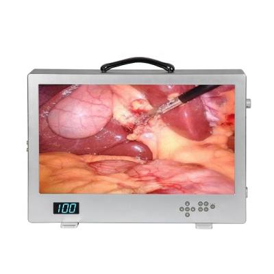 中国 Full Metal HD 3 in 1 Endoscopy Ear Ear Camera with LED Light Source Monitor 販売のため