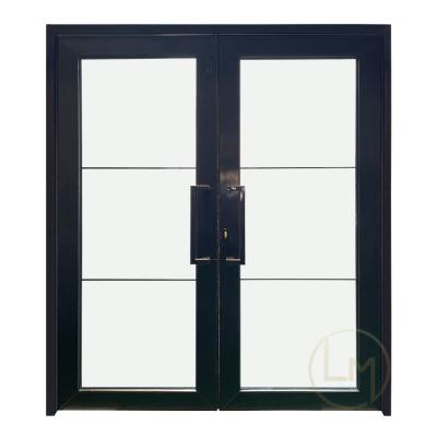 China Easily Assembled Pivot Double Door Modern Design Residential Aluminum Glass Door for sale