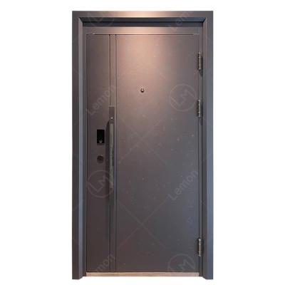 China Modern Single Modern Style Apartment Main Door Security Soundproof Door for sale