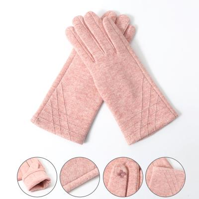 China Winter Simple New Arrival Solid Color Coldproof Touch Screen Plush Gloves Warm Windproof Riding Gloves for sale