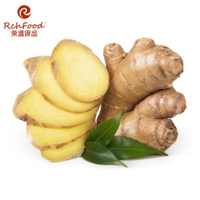 China Ginger Japanese Fresh Natural No Ginger Preservative Paste for sale