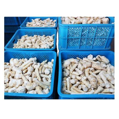 China Antibiosis Raw Material Frozen Carved Horseradish 20kg/ctn for sale