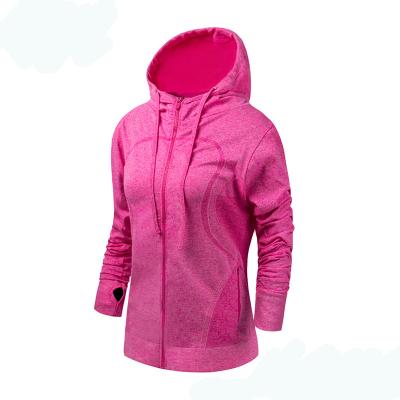 China Women's Breathable Fall/Spring/Winter Sports Jacket Fitness And Yoga Wear Active Dry Fit Sportswear Fitness Gym Clothing for sale