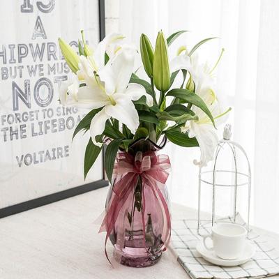 China China Wholesale Large Glass Vase Colored Glass Flower Vase for sale