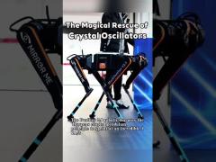 robot dogs