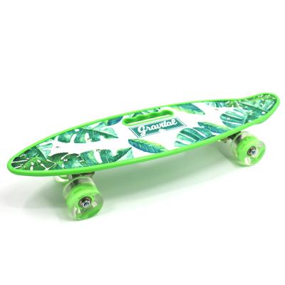 China 22 Inch Lightweight Plastic Kid Skateboard Mini Fish Board With Led Light for sale