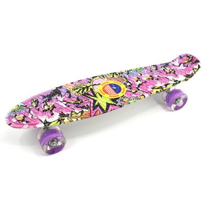 China 23inch High Quality Plastic Youth Skateboards for sale