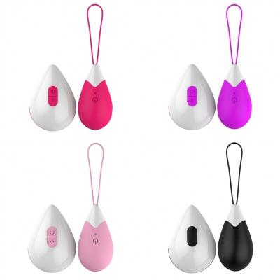 China Silicone+ABS Love Vibrator Women Vibrating Eggs Wireless Remote Control Jump Eggs With Remote Control for sale