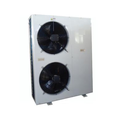 China Refrigeration Parts Model DWL-300 2hp Low Temperature Refrigeration Condensing Unit for sale