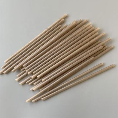 China Disposable Coffee Grounds Fiber Straw For Drinking From China for sale