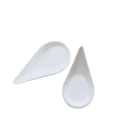 China Meal Disposable Spoon On The Bagasse Spoon Thumb for sale