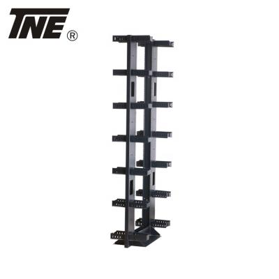 China Assembled Or Disassembled TNE Server Rack 19inch Rack For Server With Cable Ring for sale