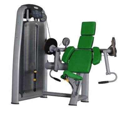 China German commercial use gym equipment, biceps strength machine, sport goods for sale