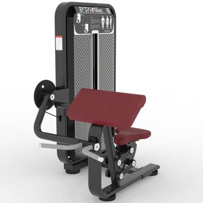 China Commercial Use Gym Equipment Seated Biceps Curl for sale