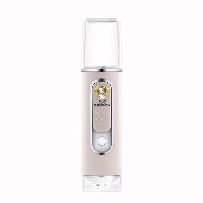 China Feed 2021 Electric Mini Handheld Nano Mist Facial Massager Beauty Sprayer Battery Power Electric Vapors for sale